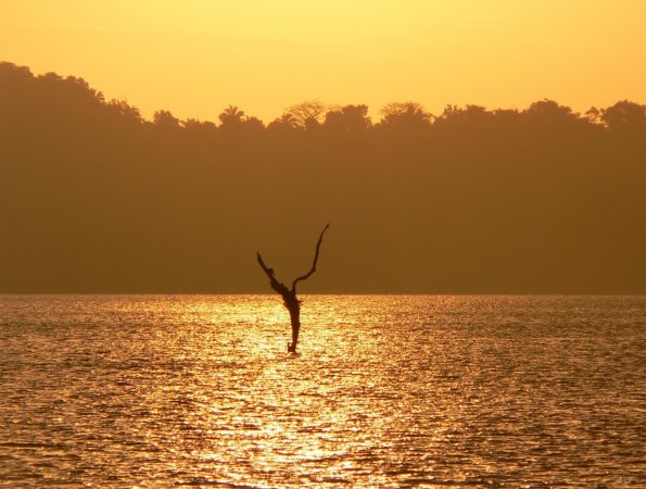 97- Magie des couleurs sur le lac Gatun 